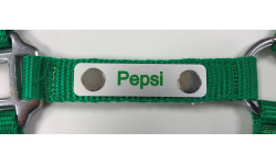 dastalnp_pepsi_0